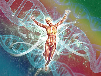 Different types of gene mutations have led to humans.