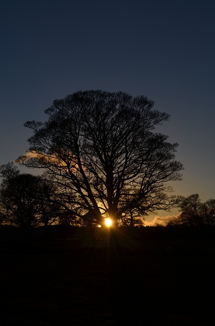 Ancient winter solstice rituals of our ancestors marked this day as the only genuine and natural New Year.